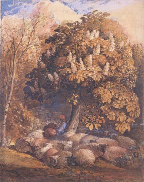 Samuel Palmer Pastoral with a Horse Chestnut Tree oil painting image